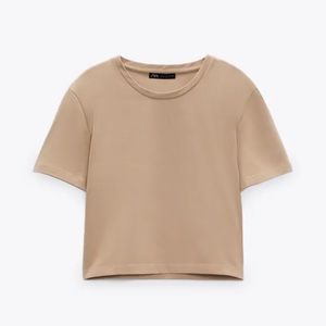 ZARA Beige Cropped Top